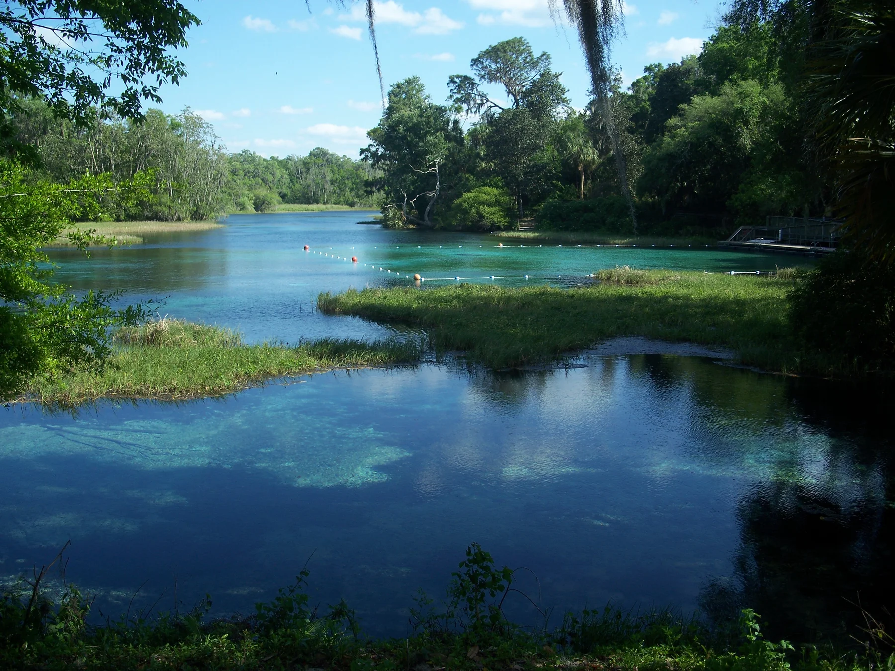Clear spring water and tree-lined banks at Rainbow Springs
