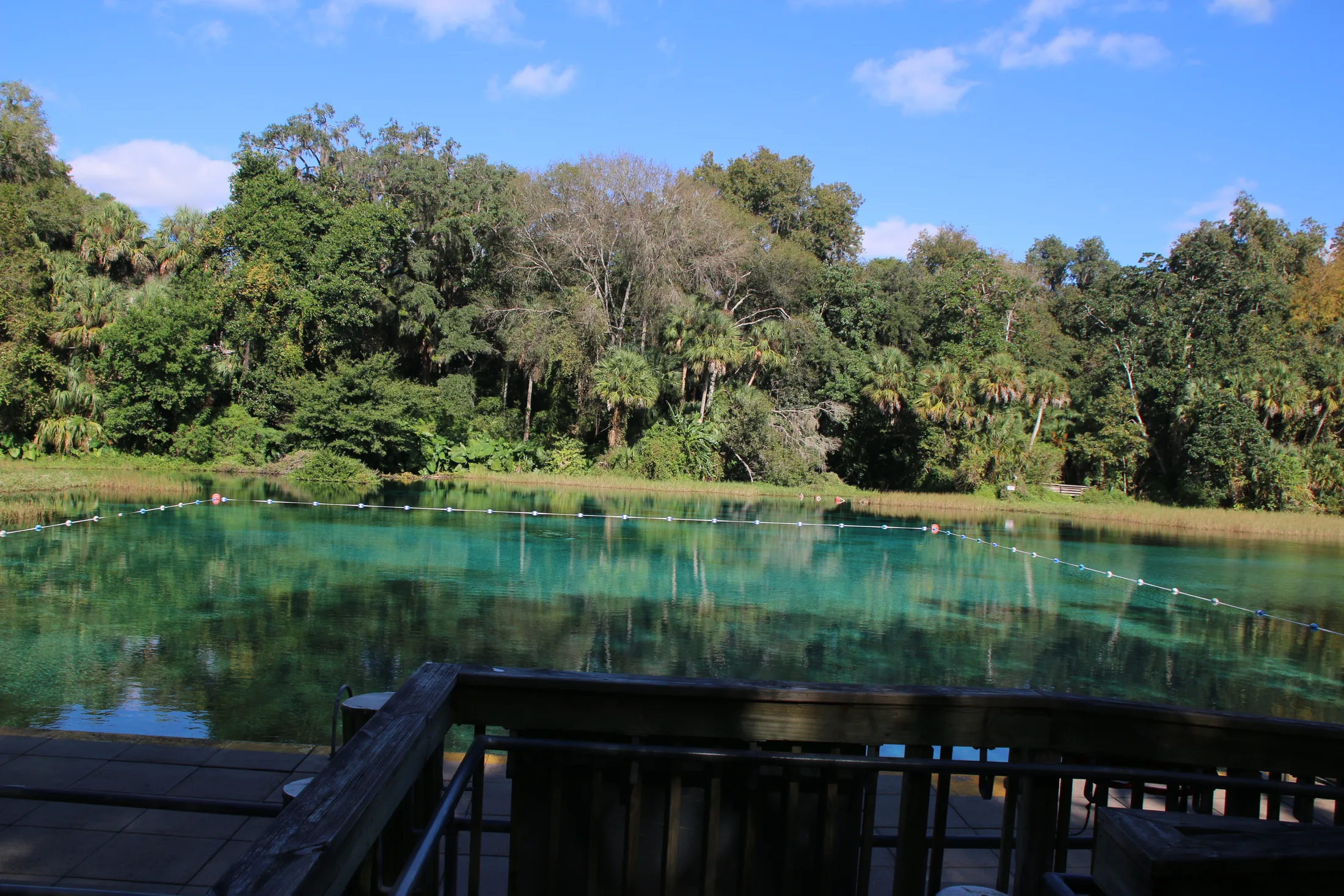 Rainbow Springs swimming basin with entry stairs and a buoy line