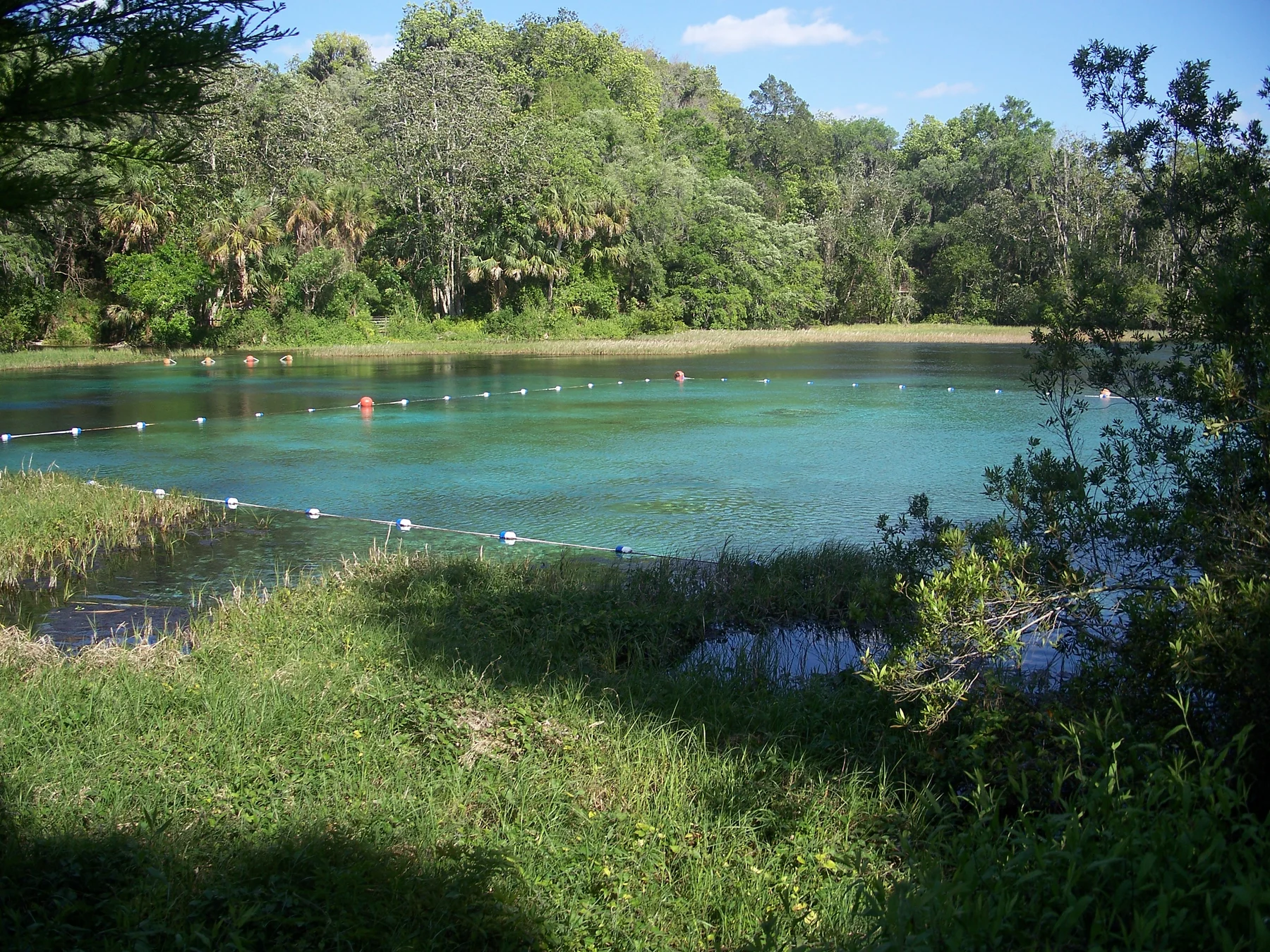 Clear spring water at Rainbow Springs State Park